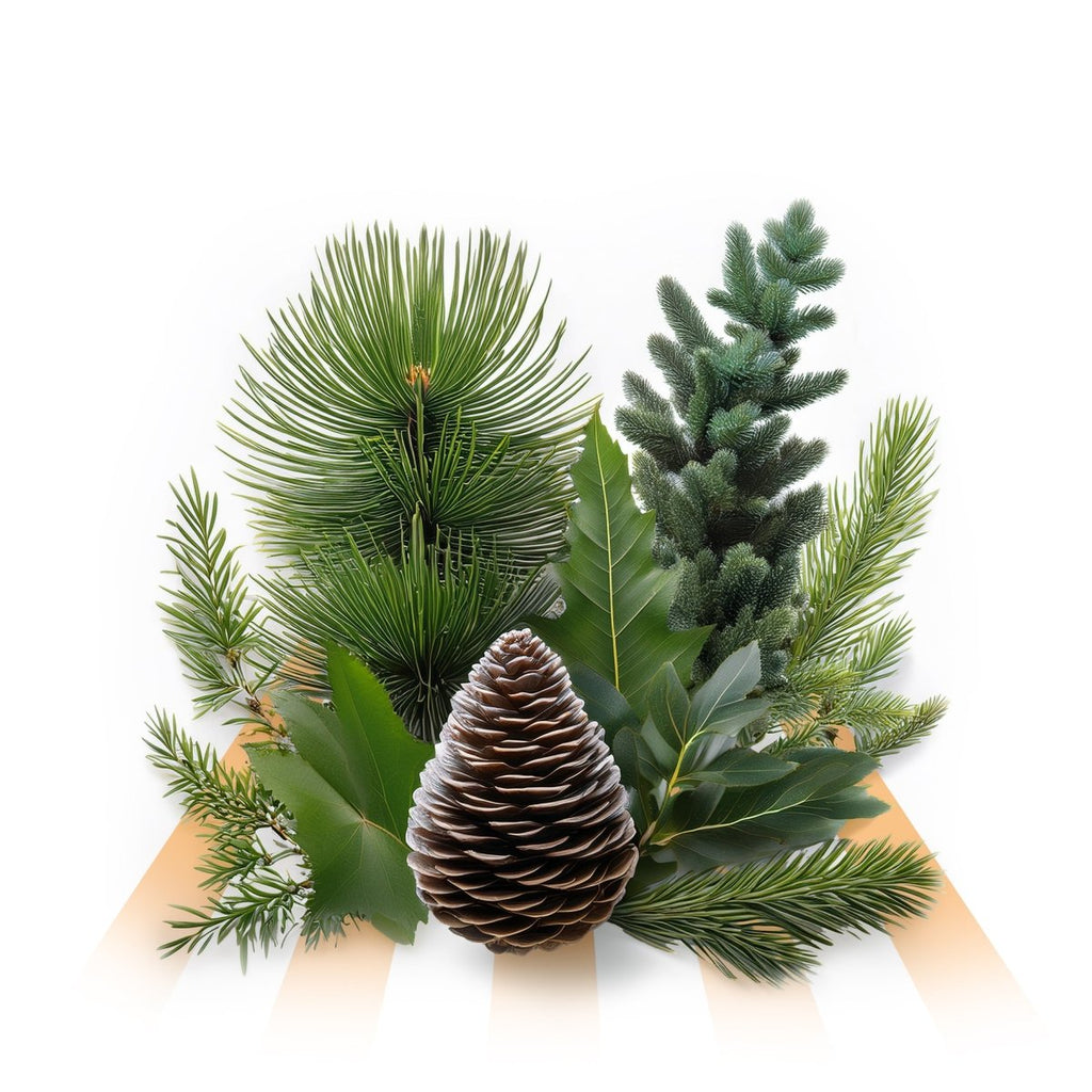 Nordic Cedar - Little Wax Melts - Pick n Melt