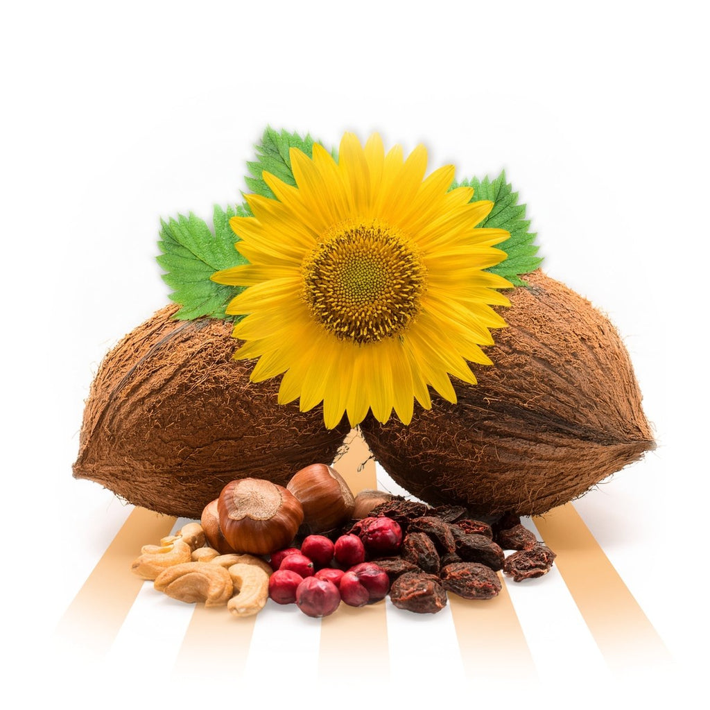 Solaris Blanc - Little Wax Melts - Pick n Melt