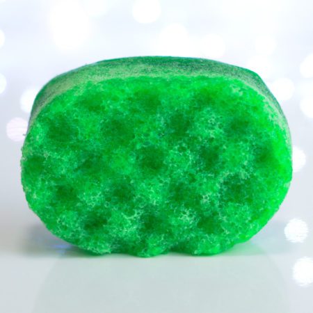 Bath Time Soap Sponge